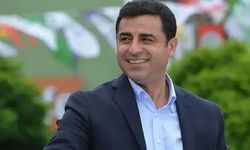AK Parti'li Ekinci: Selahattin Demirtaş'a suçlu muamelesi  doğru değil