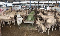 Bursa'da kurban kesim alanları belirleniyor