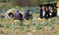Çiftçiyi girdi maliyetleri perişan ediyor!