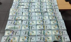 Otobüsün buzdolabında 510 bin dolar!