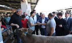 Bozbey, kurban pazarlığına aracılık yaptı