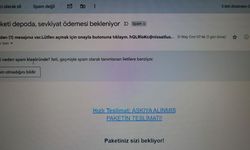 Dolandırıcılar vatandaşın kabusu oldu