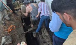İpini kopardı, foseptik çukuruna düştü