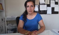 Köpekleri toplatmak istedi başına gelmeyen kalmadı!