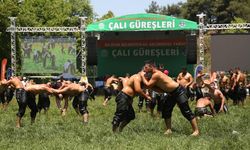 Bursa'da Çalı güreşleri için geri sayım başladı