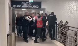 Dolandırıcılık şebekesine operasyon, 181 kişi tutuklandı