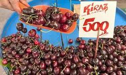 Meyve fiyatları uçtu, kiraz 500