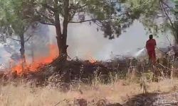Bursa'da o ilçedeki ormanda yangın çıktı, müdahale sürüyor