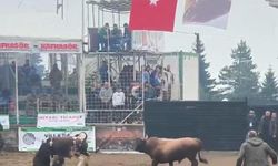 Sözde festivalde sabine acımadı