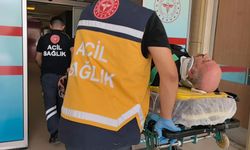 Tomrukların üzerine düştü, boynu kırıldı