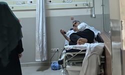 Tarlada çalışırken yılan ısırdı!