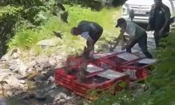 Kene timi keklikler işbaşında