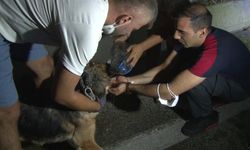 Allah'ın sessiz kulları böyle kurtarıldı
