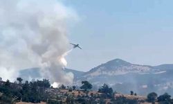 Bursa'da alevler yeniden yükseldi