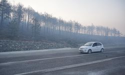 Bursa'da orman yok oldu!