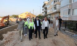 Mudanya'nın çevresi değişiyor