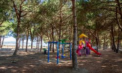 Yenişehir'e dev mesire alanı