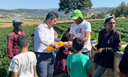 AK Parti'li başkan tarım işçilerine meşrubat ikram etti