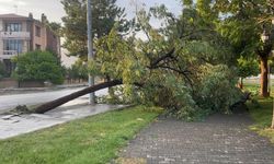 Çatılar uçtu, caddeler göle döndü