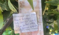 Bursa'da şaşırtan olay!