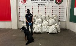 Kapıkule Sınır Kapısı'nda zehir operasyonu