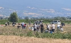 Patatesler para etmeyince ücretsiz dağıttı