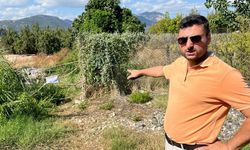 Asit çamuruna düştü, hayatı karardı