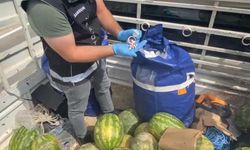 Karpuzların içinden zehir çıktı