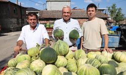 Bursa'da kavun üretimi arttı ama...