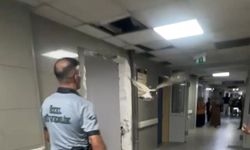 Martı yolunu şaşırdı, acil servise girdi