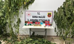 Bursa'da zehir tacirine baskın