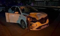 Yolun karşısına geçemedi!