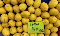 Limon fiyatları bütçeyi ekşitti