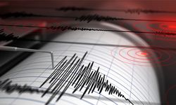 Bursa'da korkutan deprem, çığlıklar duyuldu