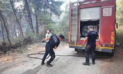 Bursa itfaiyesi Gündoğdu yangını için seferber oldu