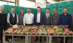 Bursa'da yetişen sebze ve meyveler Libya'ya ihracat edildi