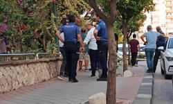 Pes artık, işe alınmayınca garsonu vurdu!