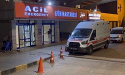 Akrabalar arasında çıkan kavgada can verdiler!