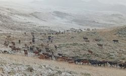 Yükseklere ilk kar yağdı
