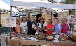 Her yaştan tarih meraklısını buluşturan festival