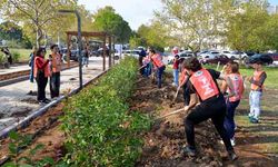 Bursa'da öğrenciler fidan dikti