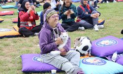 Kedi ve köpekler sahipleriyle buluştu