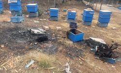 Bursa'da arıcılara kovan desteği