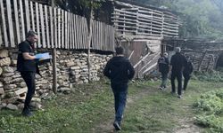Kestane kavgası, 3 kişiyi kurşuna dizdiler!