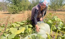 Beton dairelerden kurtulun, kırsalda nefes alın