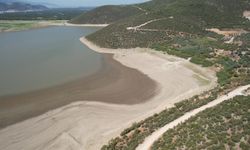 Sanayi Bursa'yı mahvediyor, gölet kurudu