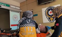 Ceviz ağacında feci olay!