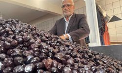 'Almanya'ya satarsak, bizim insanımız zeytin yiyemez'