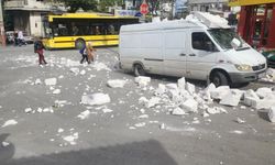 Lodos Bursa'da etkili oluyor, balkon duvarlarını savurdu, ağaçlar devrildi