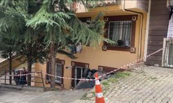 Acemi sürücü aracıyla bahçeye uçtu